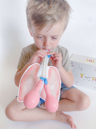 Child playing with human lung STEM activity