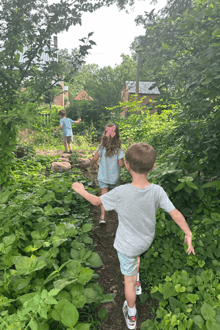 Preschoolers walking in nature wooded area