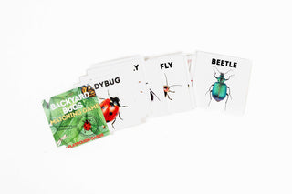 Bug-themed matching game for preschool learning and early memory development