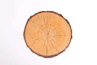 Where the Wild Trees Grow Kit