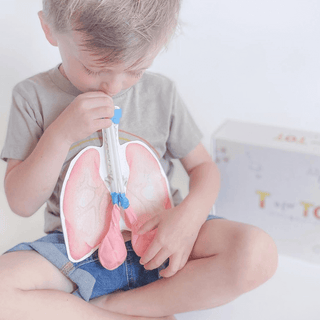 Human Body Kits for Kids, ages 3-6. Subscription box T is for Tot