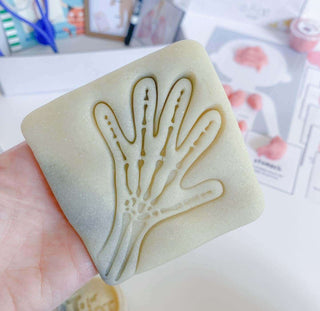 Fun and educational kit for young children to learn about the human body. Includes