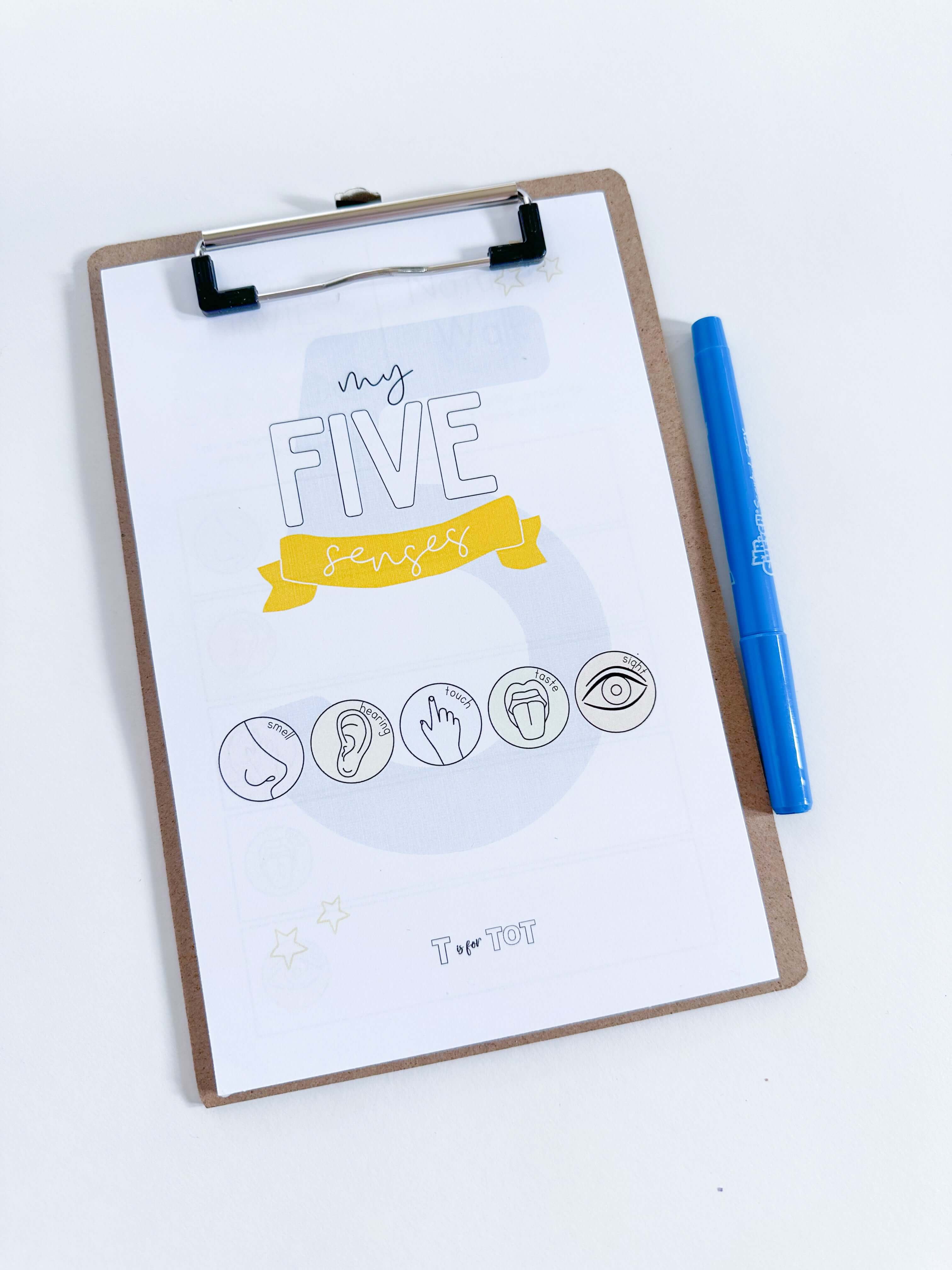 Five Senses Interactive Learning Kit for Early Education