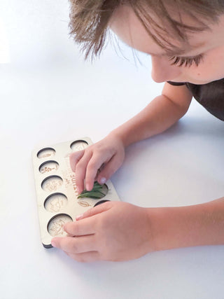 Outdoor Explorers Kit