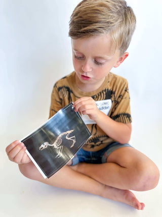 Vet Kit for Cognitive Development - T Is For Tot Educational Toy