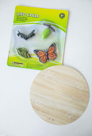 Butterfly Explorer Kit