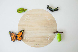 Butterfly Explorer Kit