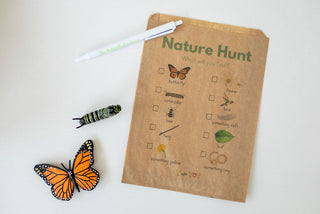Butterfly Explorer Kit
