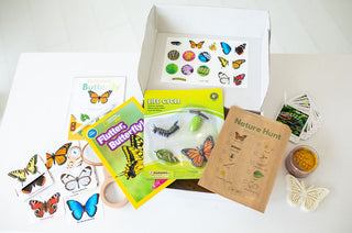 Butterfly Explorer Kit