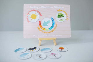 Weather Watchers Kit