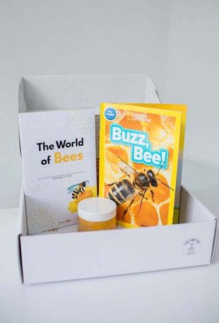 The World of Bees Kit