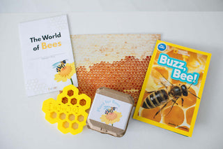 The World of Bees Kit