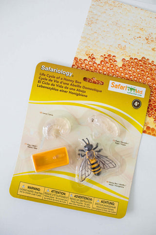 The World of Bees Kit