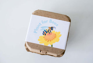 The World of Bees Kit