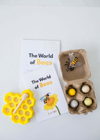 The World of Bees Kit