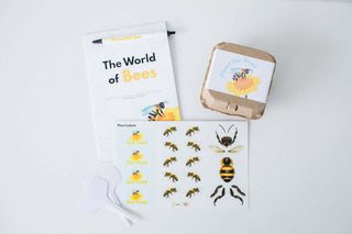 The World of Bees Kit