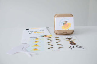 The World of Bees Kit