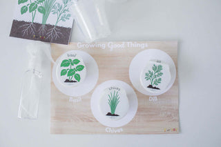 Growing Good Things Kit