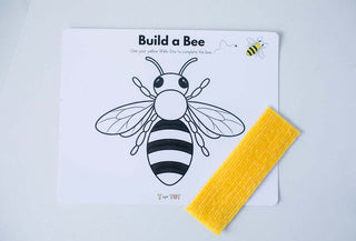 The World of Bees Kit