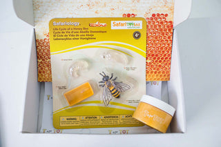 The World of Bees Kit