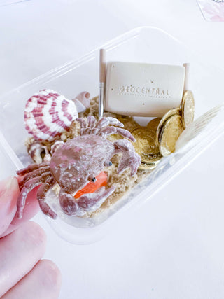 Under the Sea Kit for Preschoolers - Educational Ocean Exploration