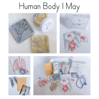 T Is For Tot - Learn & Play Kits For Ages 3-6. Early Childhood Education, Learn Through Play, Best Subscription Box For Kids