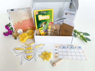 Interactive Bumble Bee Learning Kit