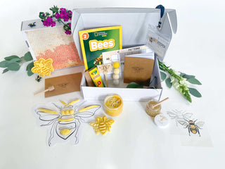 Bumble Bee Kit for Preschool Learning