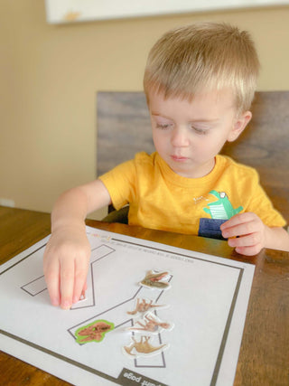 Toddler & Preschool | Letter Yy Curriculum.