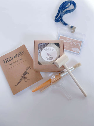 STEM-Based Dinosaur Learning Kit for Kids