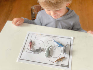 Toddler & Preschool | Letter Qq Curriculum.