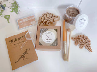 Creative Dinosaur Play and Learn Kit for Kids