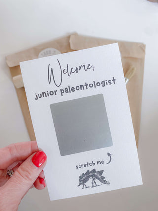 Hands-On Learning Dinosaur Kit for Young Children