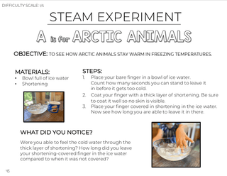 Toddler & Preschool Curriculum | Alphabet Letters A-Z ENTIRE BUNDLE.