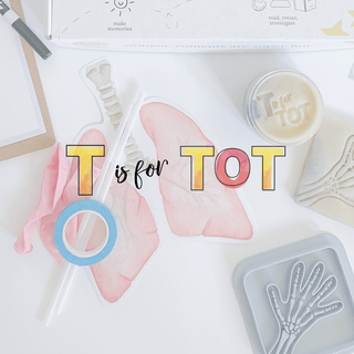 T Is For Tot Learn & Play Kits Ages 3-6, Best Kid