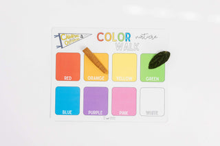 Camping in the Great Outdoors Kit