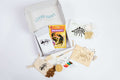 Digging for Dinosaurs Kit contents including excavation tools, dinosaur bones, and activity cards