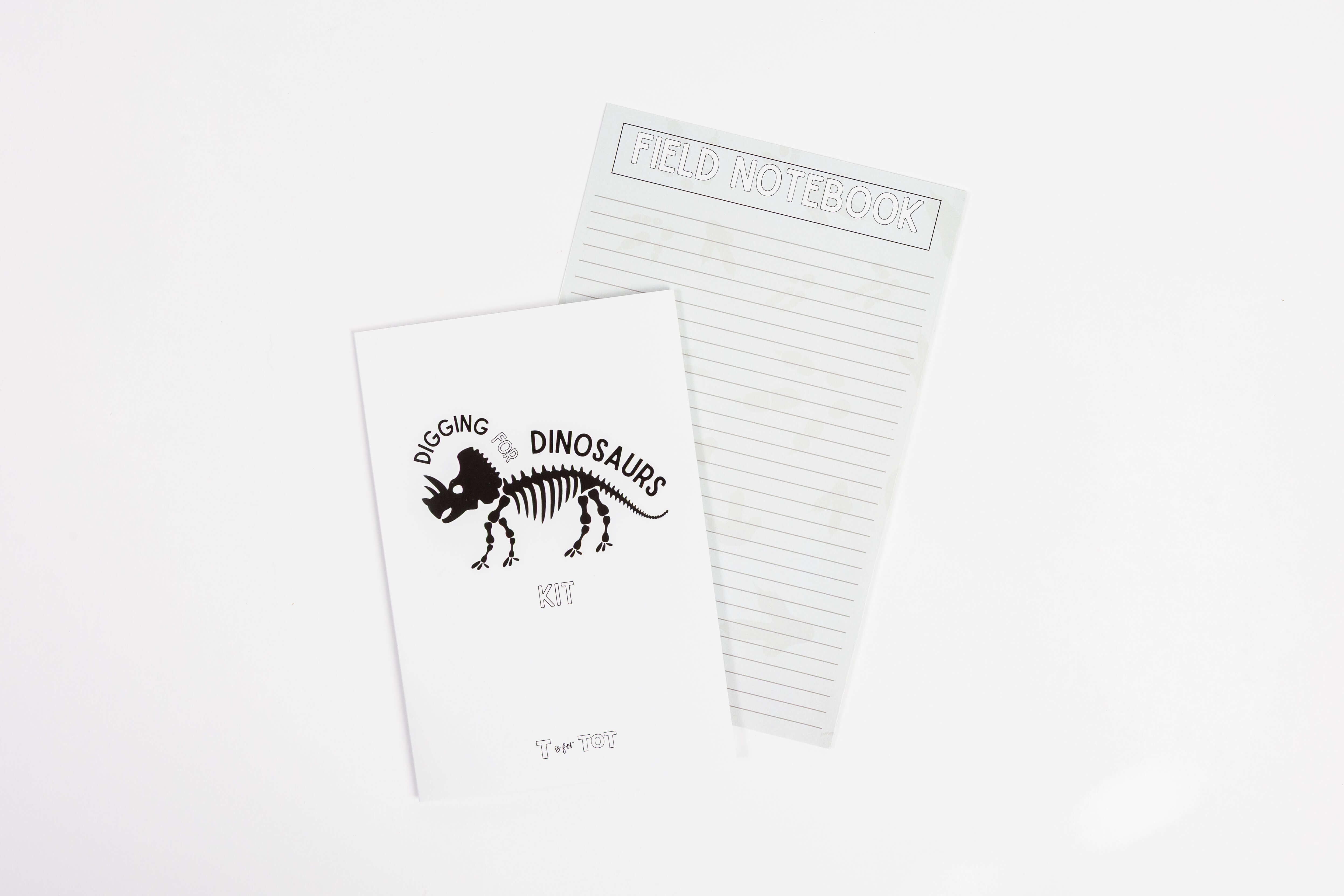 Instruction cards and field notebook guiding preschool dinosaur science activities