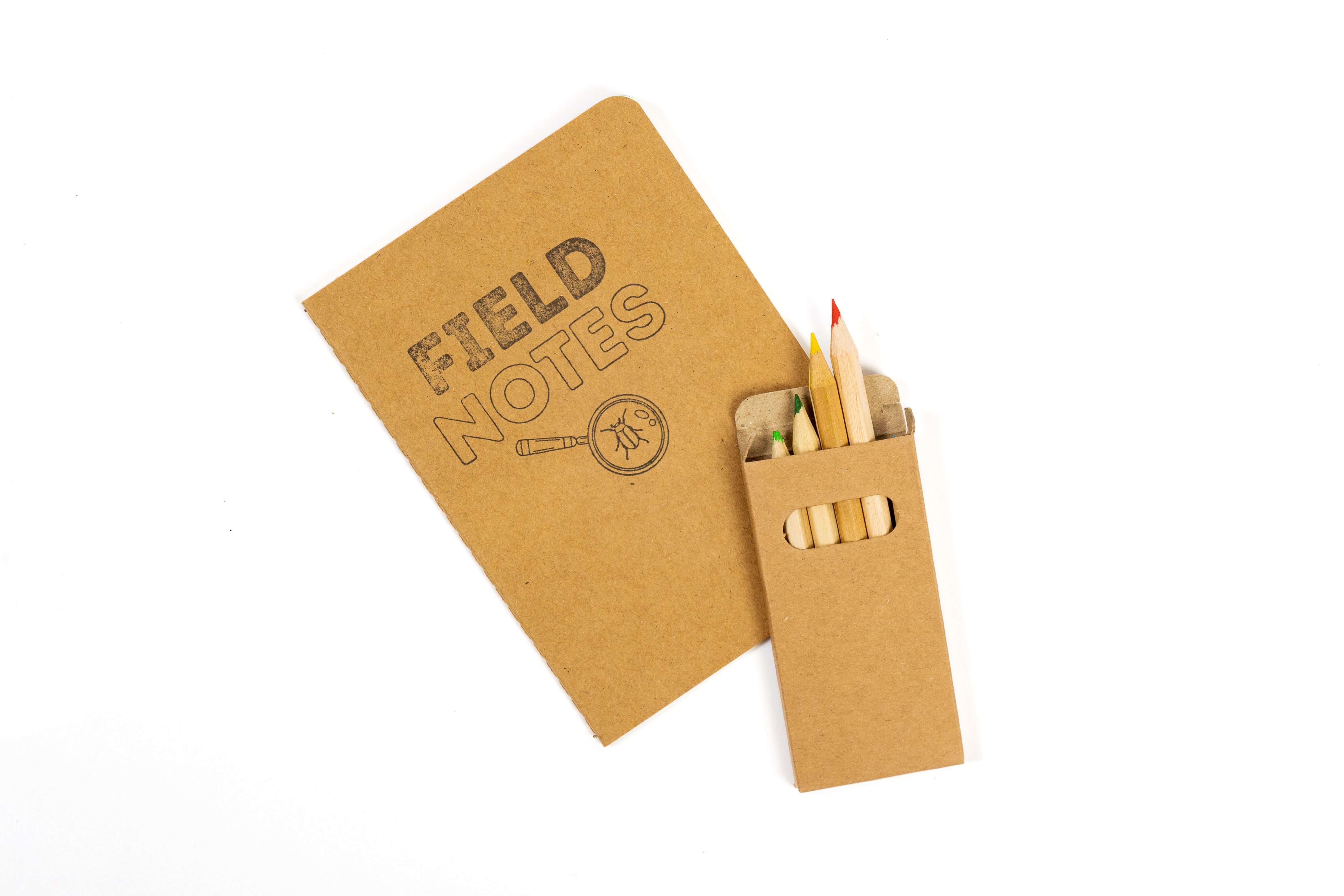 Preschool field notes journal supporting early science observation and learning