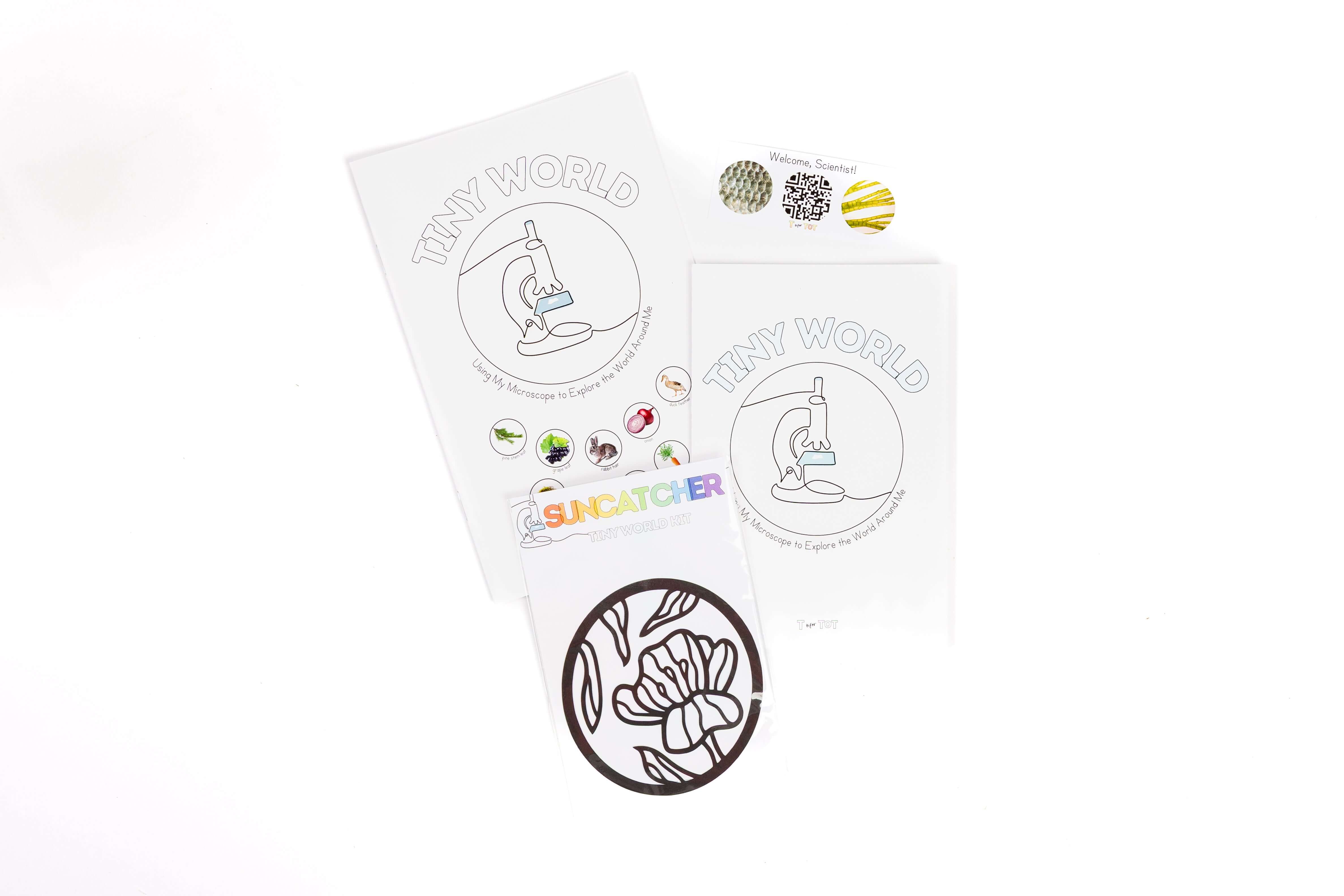 Preschool science books and suncatcher activity supporting curiosity and hands-on learning