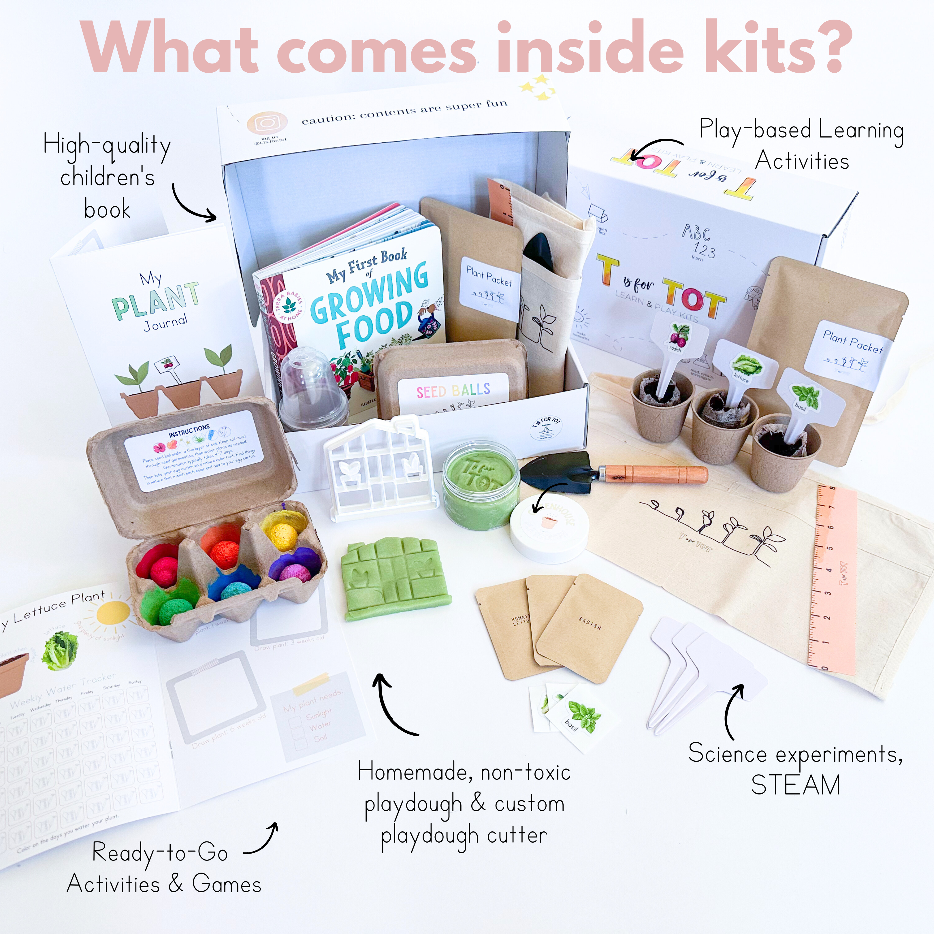 6 Months Subscription | Prepaid