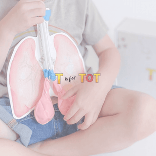 T Is For Tot - Learn & Play Kits For Ages 3-6. Early Childhood Education, Learn Through Play, Best Subscription Box For Kids