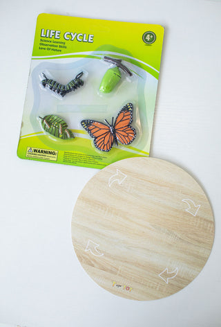 Butterfly Explorer Kit