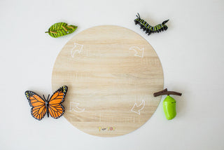 Butterfly Explorer Kit