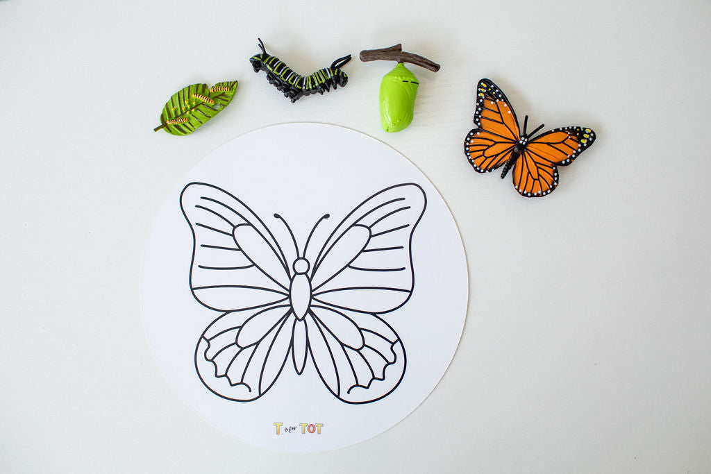 Butterfly Explorer Kit