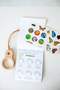 Butterfly Explorer Kit