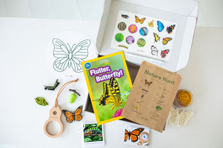 Butterfly Explorer Kit