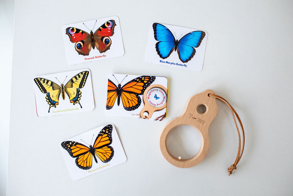 Butterfly Explorer Kit