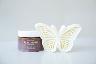 Butterfly Explorer Kit