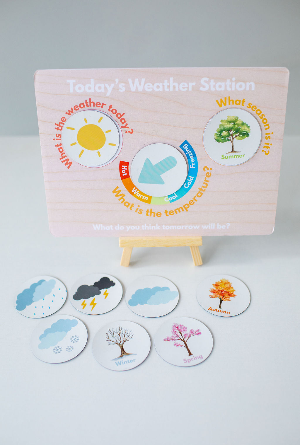 Weather Watchers Kit